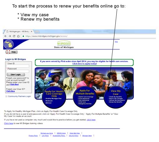 Image of Michigan.gov website - click on View My Case