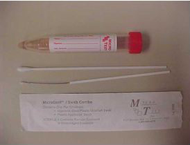 male GC and chlamydia test swab