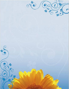 white paper with flower border