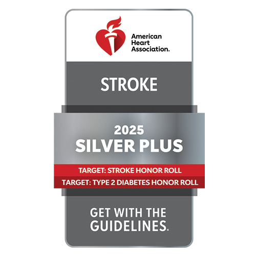 McLaren Greater Lansing nationally recognized for high-quality stroke care