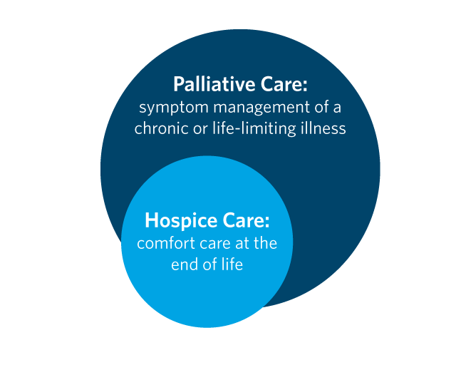 palliative care and hospice care