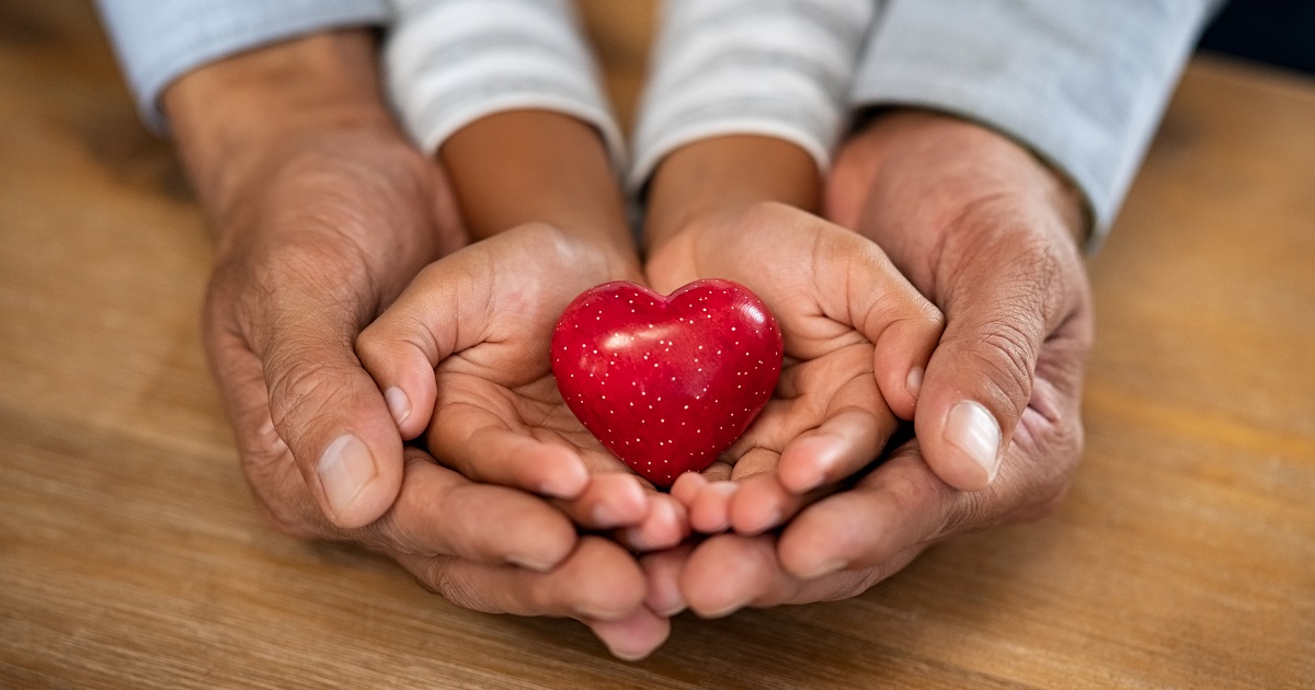 hands holding heart model