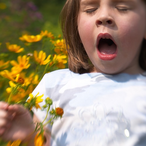 Know your allergies, beat your allergies