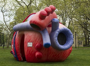 mega heart