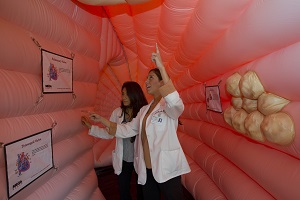 two people walking through mega heart