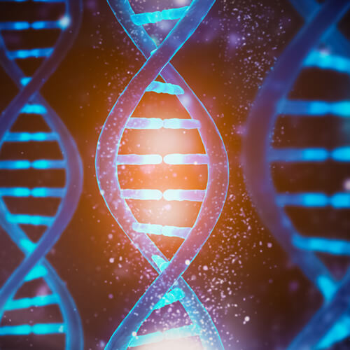 dna strands illustration