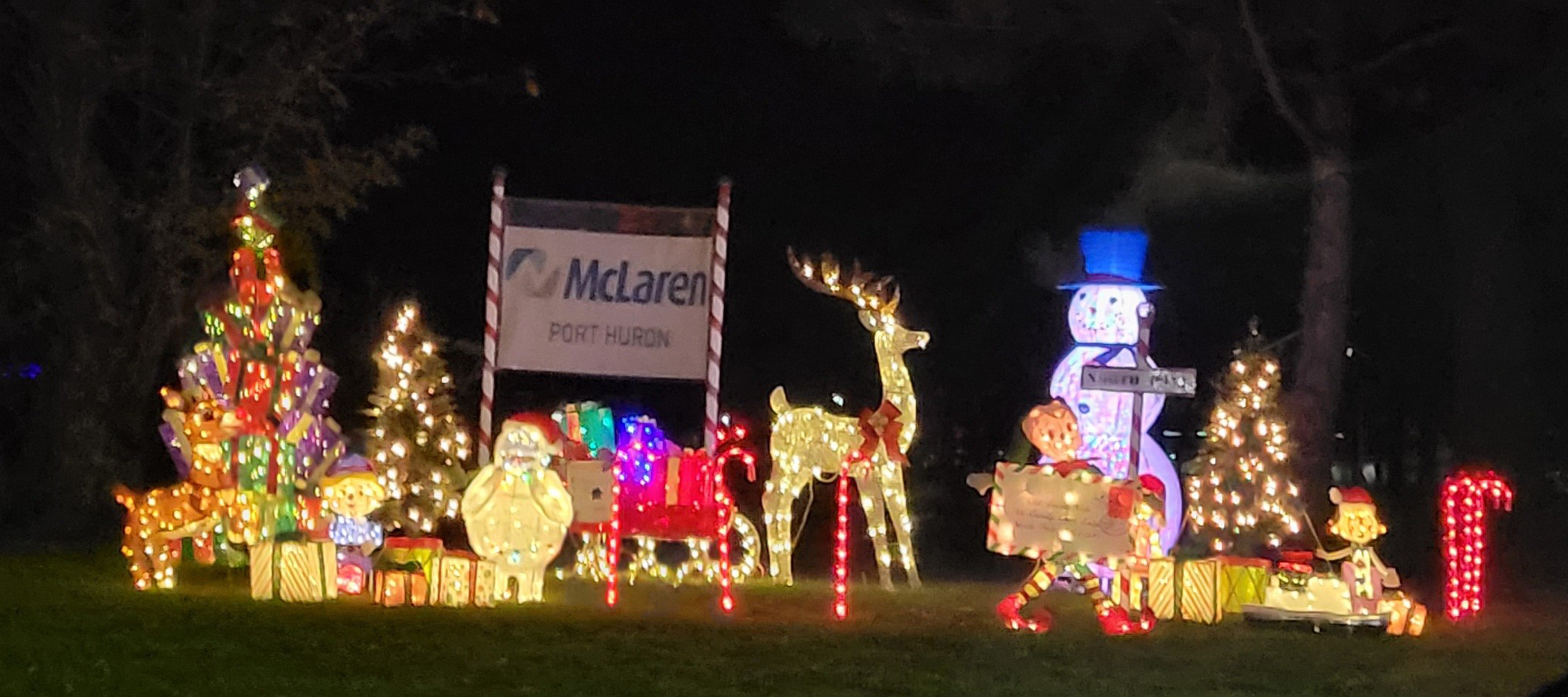 2021 Pine Grove Park Holiday Display Lights