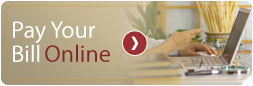 pay your bill icon