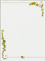 sample femail paper leaf design border on white