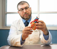 doctor explaining heart model