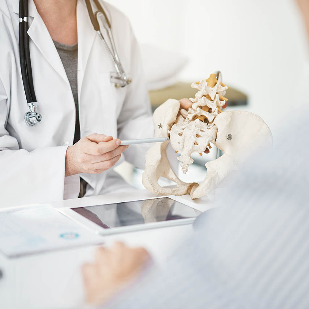 Dr. showing lower spine and hip during consultation.